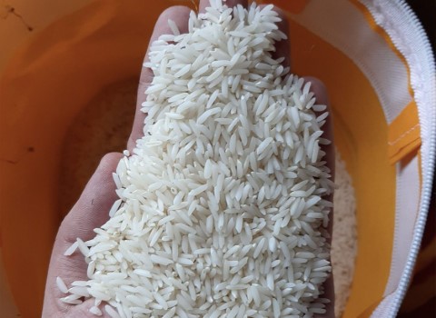 تصویر 4 از خرید و قیمت برنج طارم درجه ۱ + فروش صادراتی